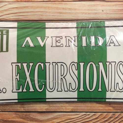 AVENIDA EXCURSIONISTA