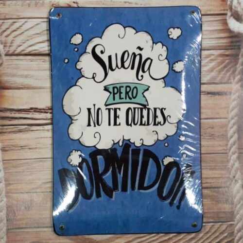 SUEÑA PERO NO TE QUEDES DORMIDO