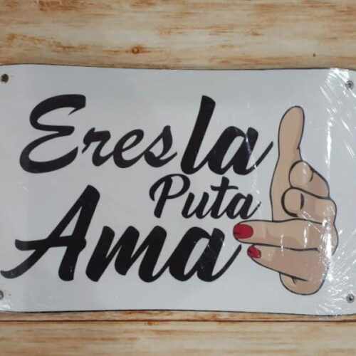 ERES LA PUTA AMA