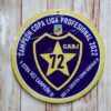 BOCA CAMPEON LIGA PROFECIONAL
