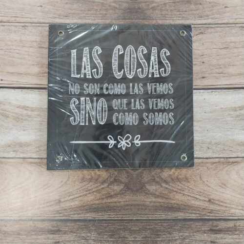 LAS COSAS SON COMO LA VEMOS