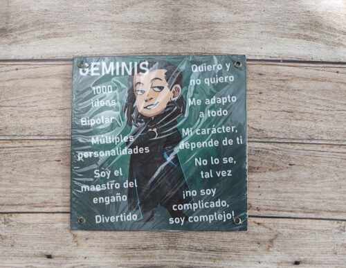 GEMINIS