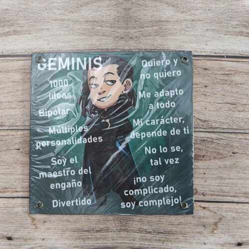 GEMINIS