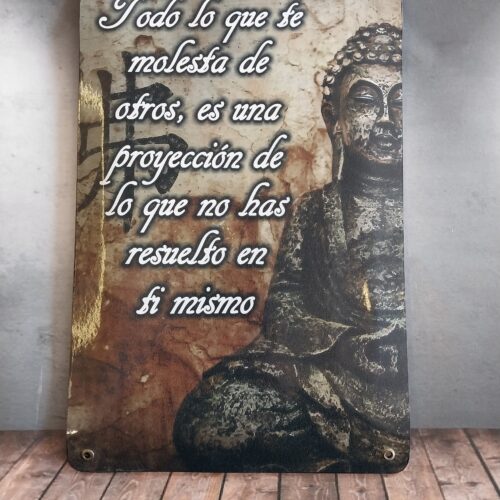 BUDA 11