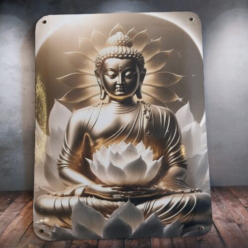 BUDA 17