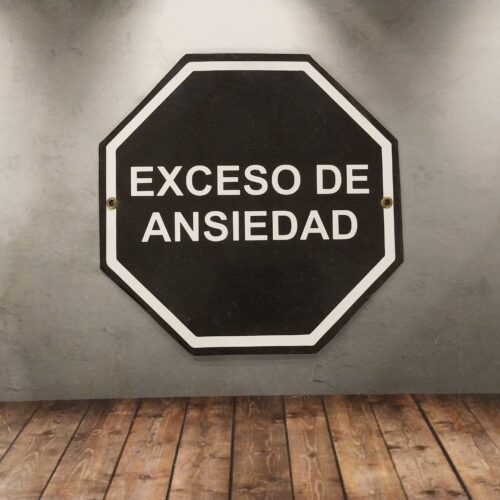 EXCESO DE ANSIEDAD
