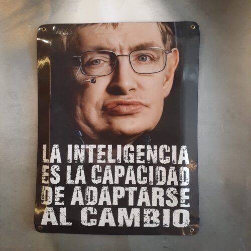 LA INTELIGENCIA ES LA CAPACIDAD.......