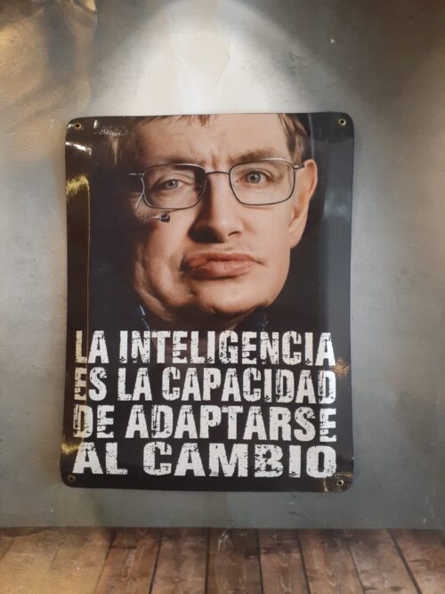 LA INTELIGENCIA ES LA CAPACIDAD.......