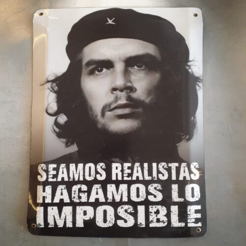 SEAMOS REALISTAS HAGAMOS LO IMPOSIBLE