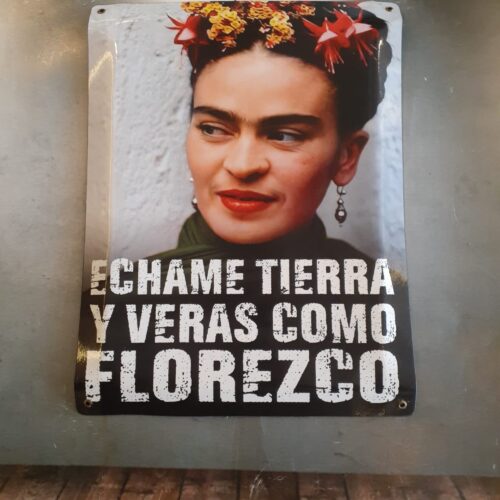 ECHAME TIERRA Y VERAS COMO FLOREZCO