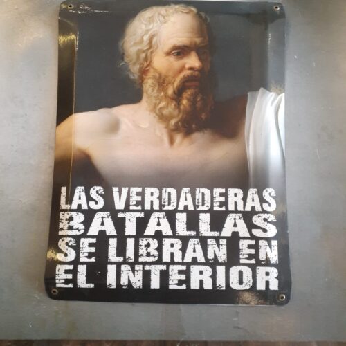 LAS VERDADERAS BATALLAS......