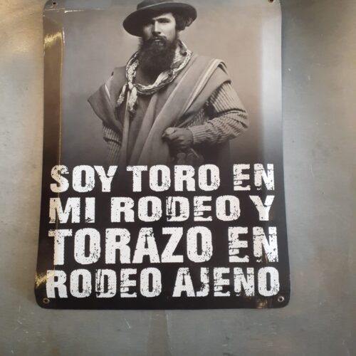 SOY TORO EN MI RODEO......