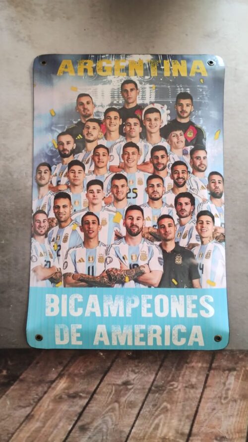 BICAMPEONES DE AMERICA
