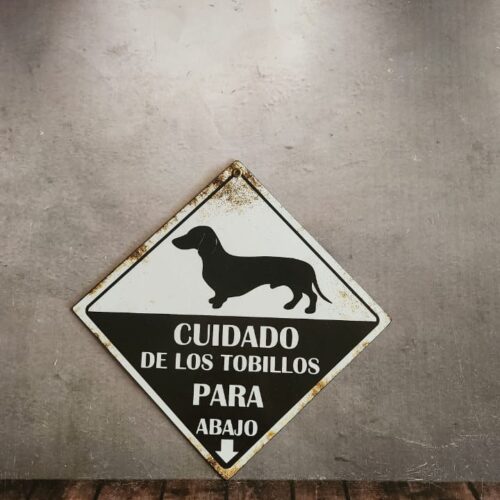 PERRO SALCHICHA