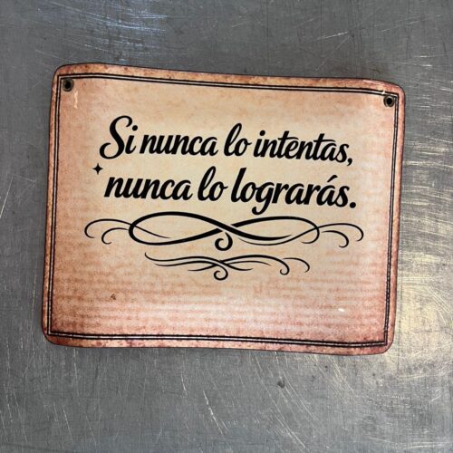 SI NUNCA LO INTENTAS