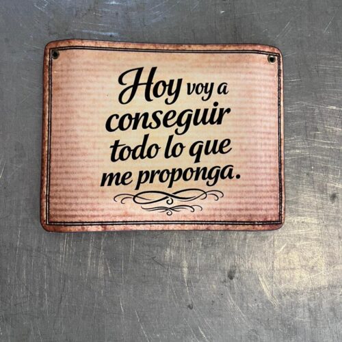 HOY VOY A CONSEGUIR TODO LO QUE ME PROPONGA