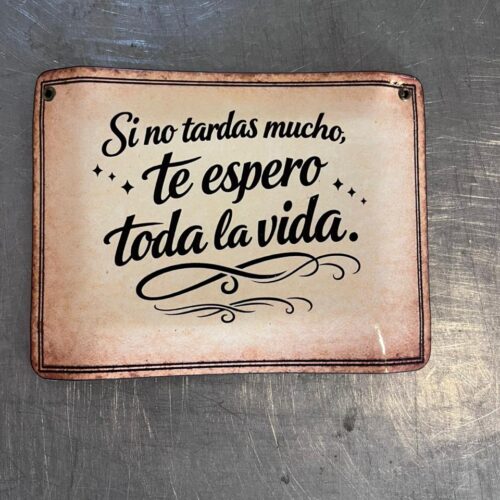 SI NO TARDAS MUCHO